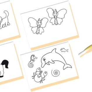 Coloriage à l’Eau - Ses Créative