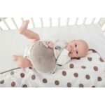 bouillotte-snoogy-aux-graines-de-colza-mint-doomoo_1_.jpg Bouillotte doudou Snoogy Sy7 - Doomoo