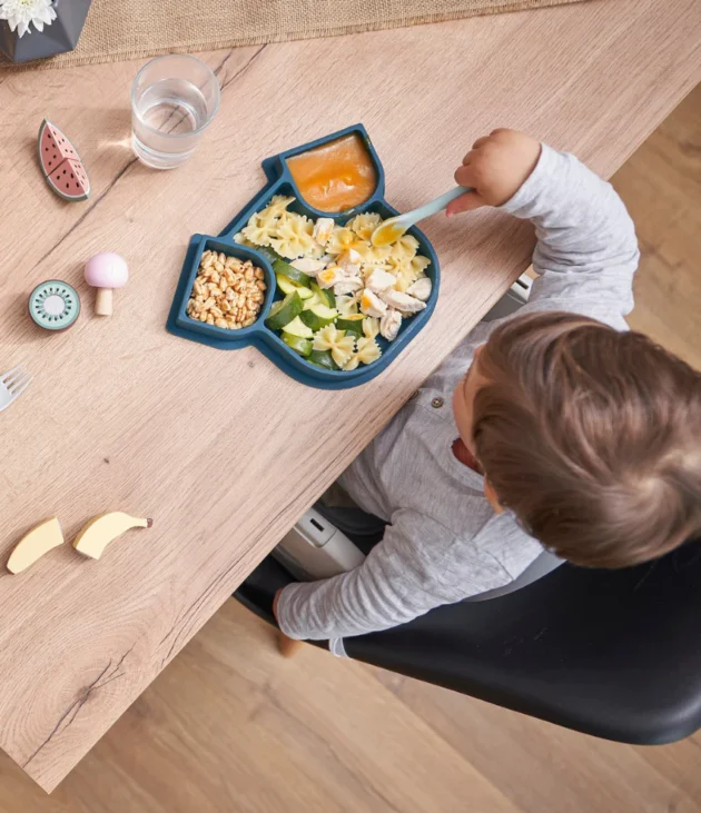 assiette en silicone isy plate chien