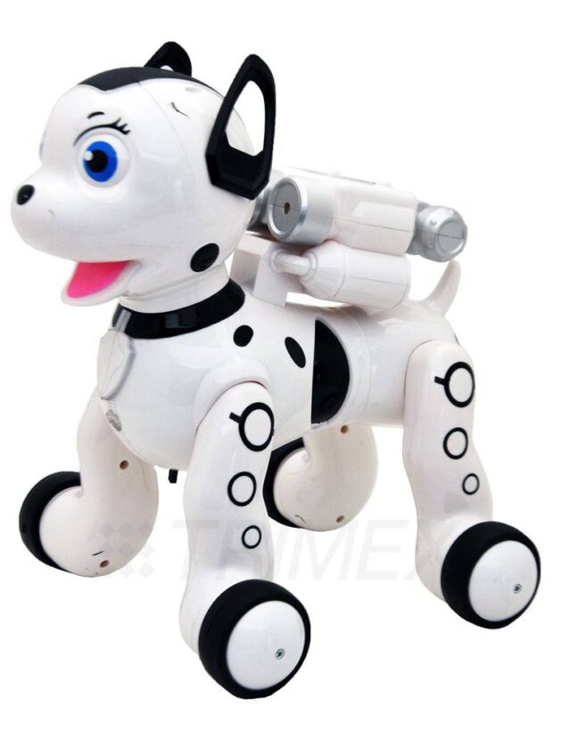 Robot chien telecommandé