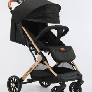 statut poussette valise noire