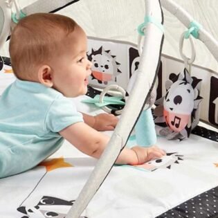Tapis-deveil-black-white-tiny-love-Ludi-1 tapis d'eveil tiny love black and white