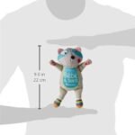 dimensions bébé à bord racoon