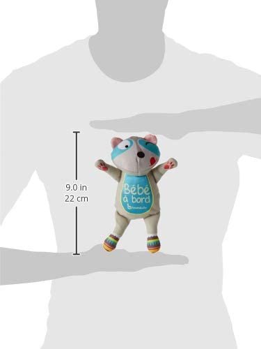 dimensions bébé à bord racoon
