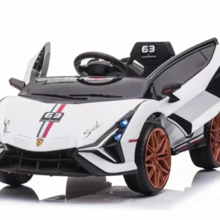 Voitures électriques - Speed avec des jolies portails