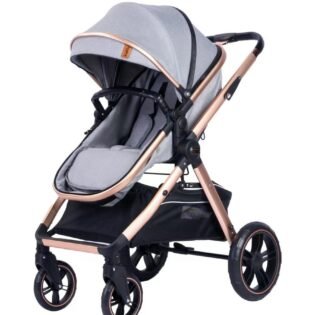 profil poussette réversible x2 kidilo gr
