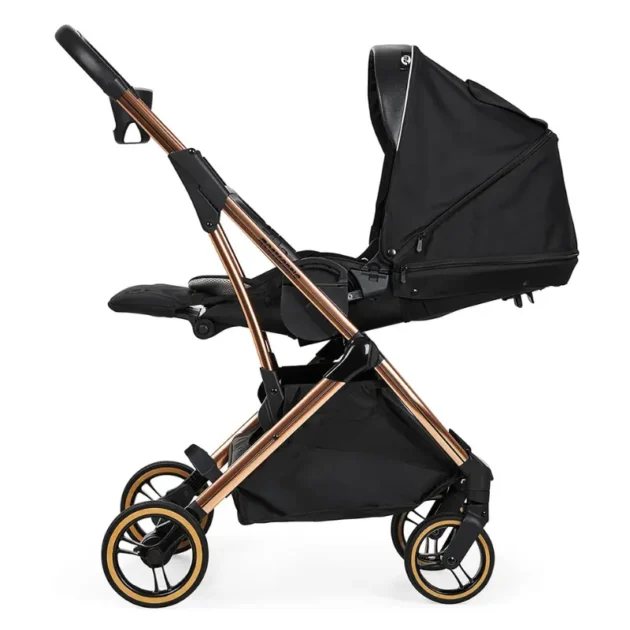 monte carlo ms noire gold