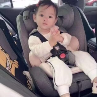 siège auto isofix eternel shield gris