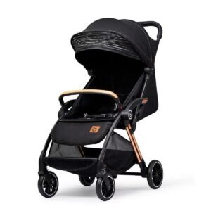 Poussette-valise-de-luxe-Baobaohao statut poussette valise de luxe