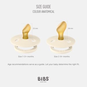 Lot-de-2-sucettes-Blush-Ivory-BIBS-11 statut sucette blush ivory bibs