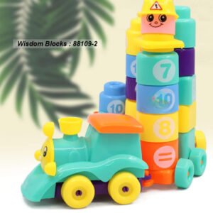 Lot-de-55-Blocks-Wisdom56 magnifique blocks wisdom