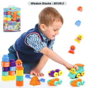 Lot-de-55-Blocks-Wisdom-5 profil blocks wisdom