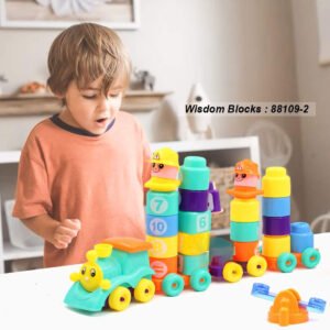 Lot-de-55-Blocks-Wisdom-1 blocks éducatif wisdom