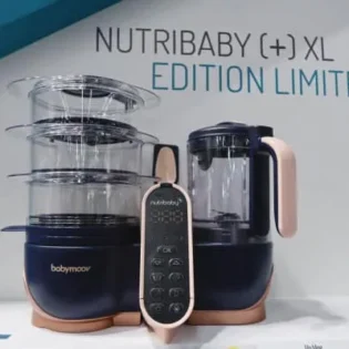 statut robot cuiseur nutribaby