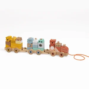 pratique train en bois jungle
