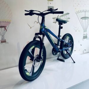 bicyclette weiqier gris