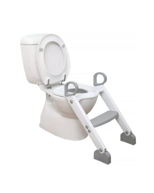 pratique step-up toilet