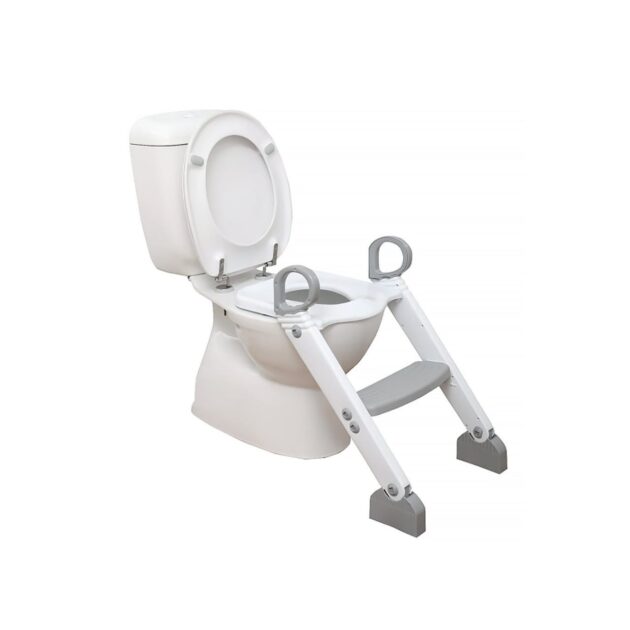 pratique step-up toilet