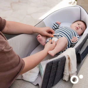 pratique nest & go grey