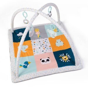 pratique baby activity gym eurekakids