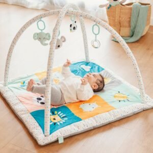 cucu baby activity gym eurekakids