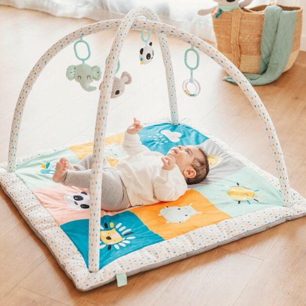 cucu baby activity gym eurekakids