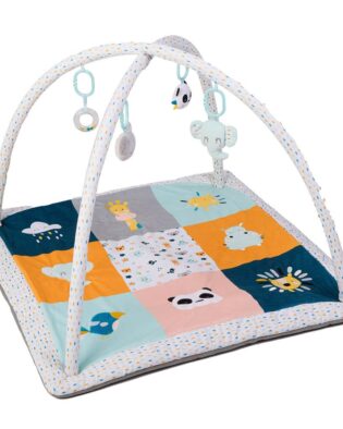confortable baby activity gym eurekakids