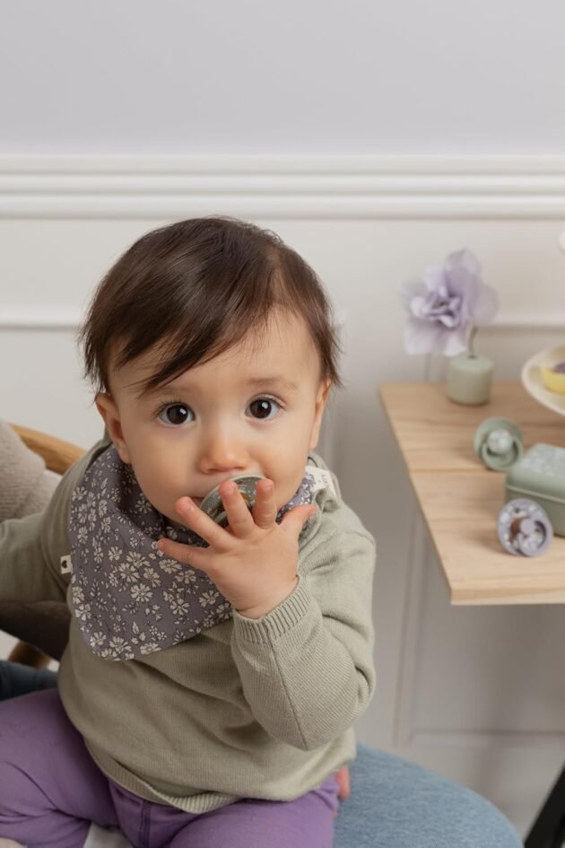 caoutchouc naturel souple - bibs x liberty Lot De 2 Sucettes Pour Bébé En Caoutchouc Naturel - Bibs x Liberty 0-6 mois