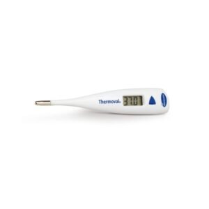 thermomètre simple