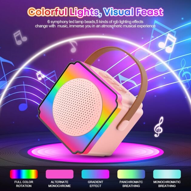 Haut-Parleur Karaoké Bluetooth et 2 Microphone Sans Fil