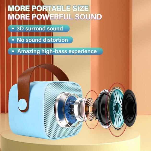 Haut-Parleur Karaoké Bluetooth et 2 Microphone Sans Fil