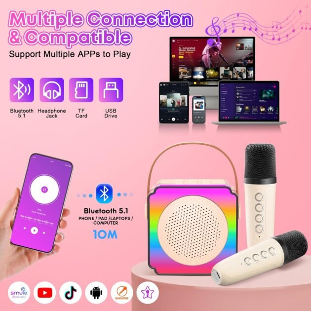 Haut-Parleur Karaoké Bluetooth et 2 Microphone Sans Fil