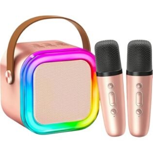Haut-Parleur Karaoké Bluetooth et 2 Microphone Sans Fil