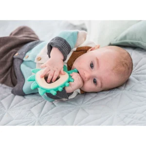 hérisson de dentition - fsc 100% - hape Hérisson de dentition - FSC 100% - Hape