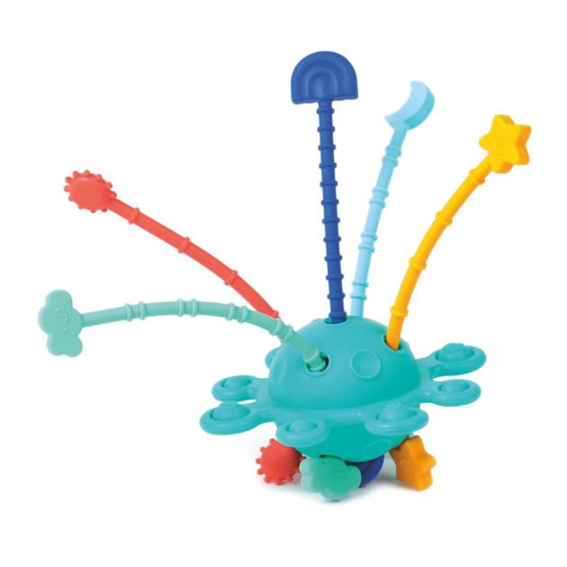 Jouet d'éveil Zippy Toy - Ludi