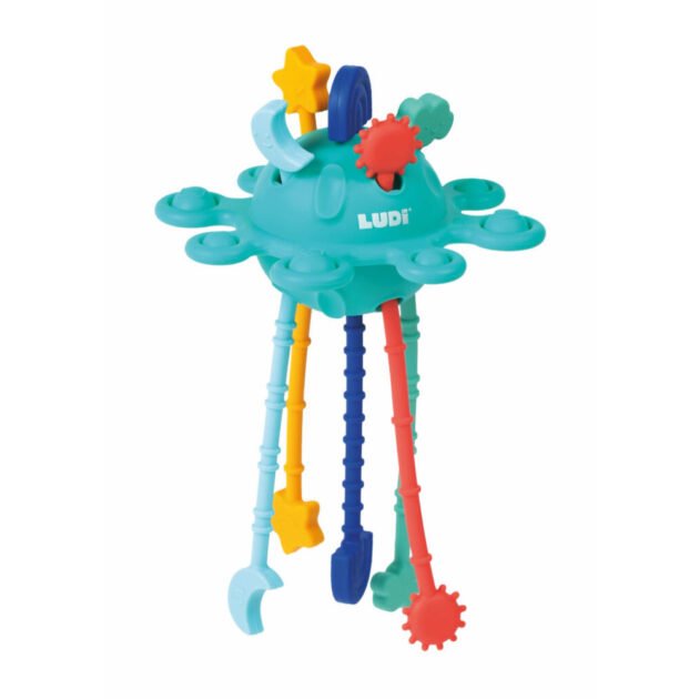 Jouet d'éveil Zippy Toy - Ludi