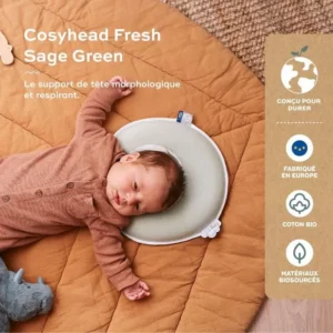 cale-tete-bebe-babymoov-cosyhead-morphologie Cale-tête Cosyhead Fresh Sage Green - Babymoov