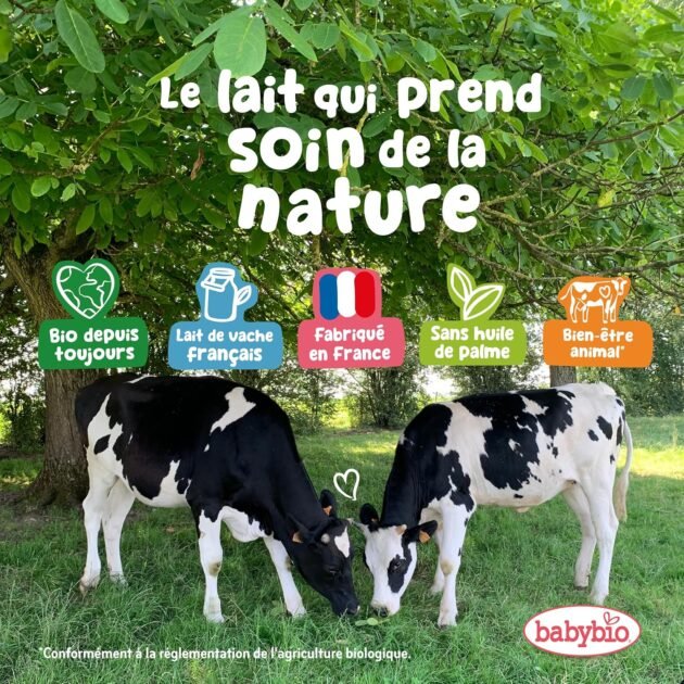 lait biologique - babybio Lait de croissance biologique en liquide 250 ml - Babybio