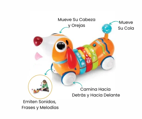 Chien Télécommandé R/C Rainbow Pup - Winfun
