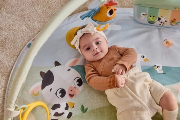 Tapis d'éveil Dynamic Gymini Farmers - Tiny Love