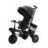 tricycle transformable en poussette gobebe temara