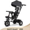 mobilit et sécurité gobebe ainchock