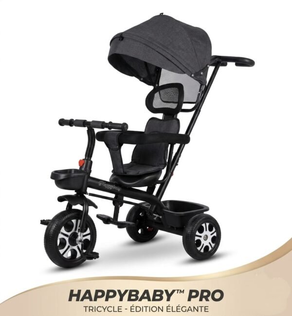 mobilit et sécurité gobebe ainchock