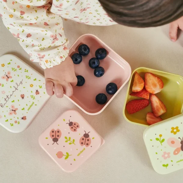 Ensemble de 3 Boîtes à Goûter papillon - Miniland